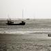 balade au bord de mer.....