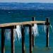 Tres.....froid.....