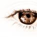 oeil.....