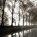 jogging dans le brouillard....