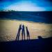 Balade sur la plage....