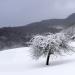 vraiment tres froid....