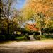 Couleurs d'automne...