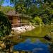 Contre champ sur le jardin